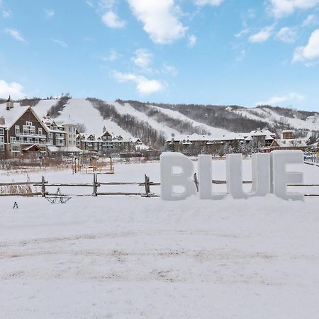 Blue Mtn Getaway In Historic Snowbridge Chalet Villa Collingwood Kültér fotó