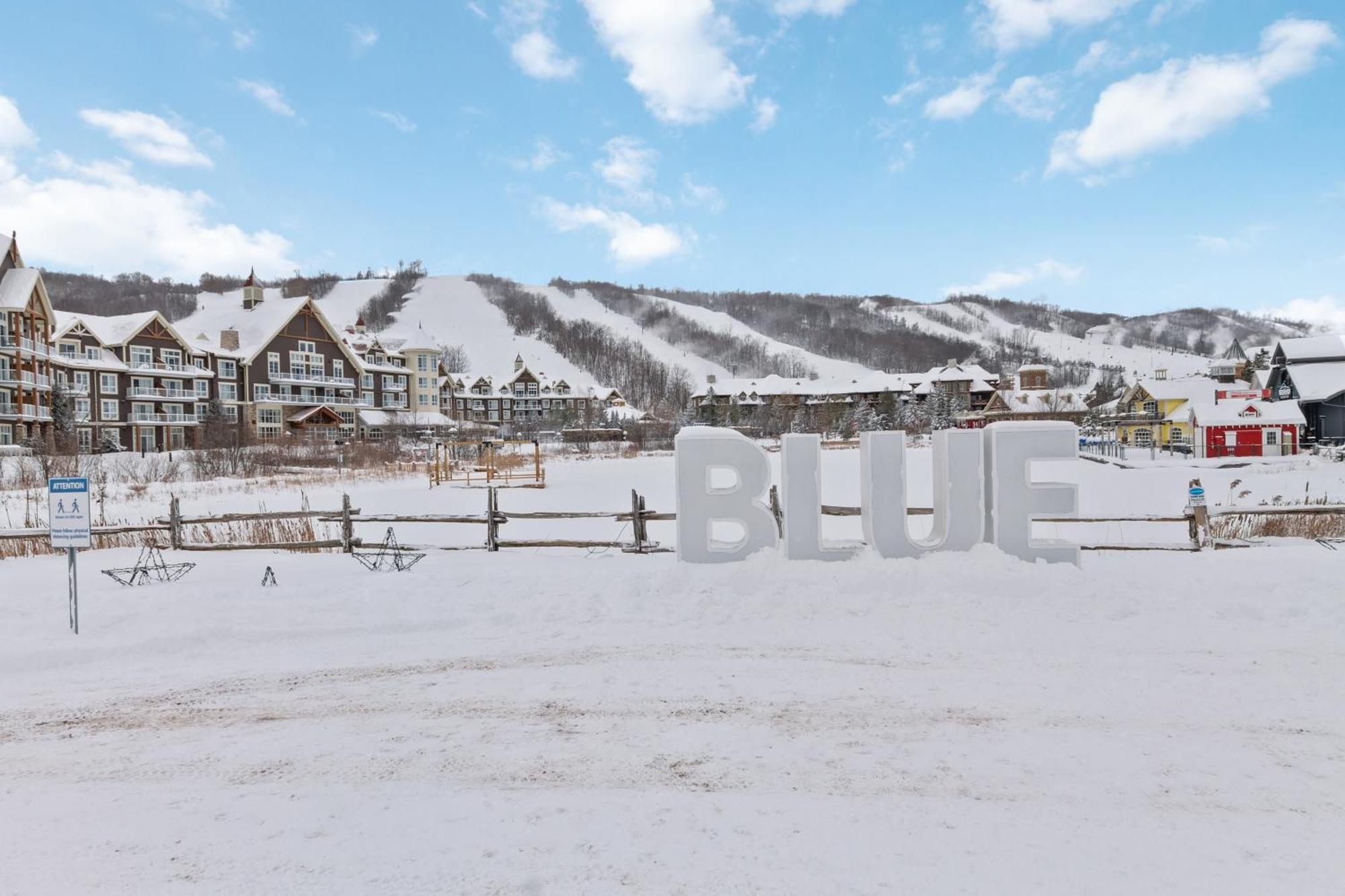 Blue Mtn Getaway In Historic Snowbridge Chalet Villa Collingwood Kültér fotó