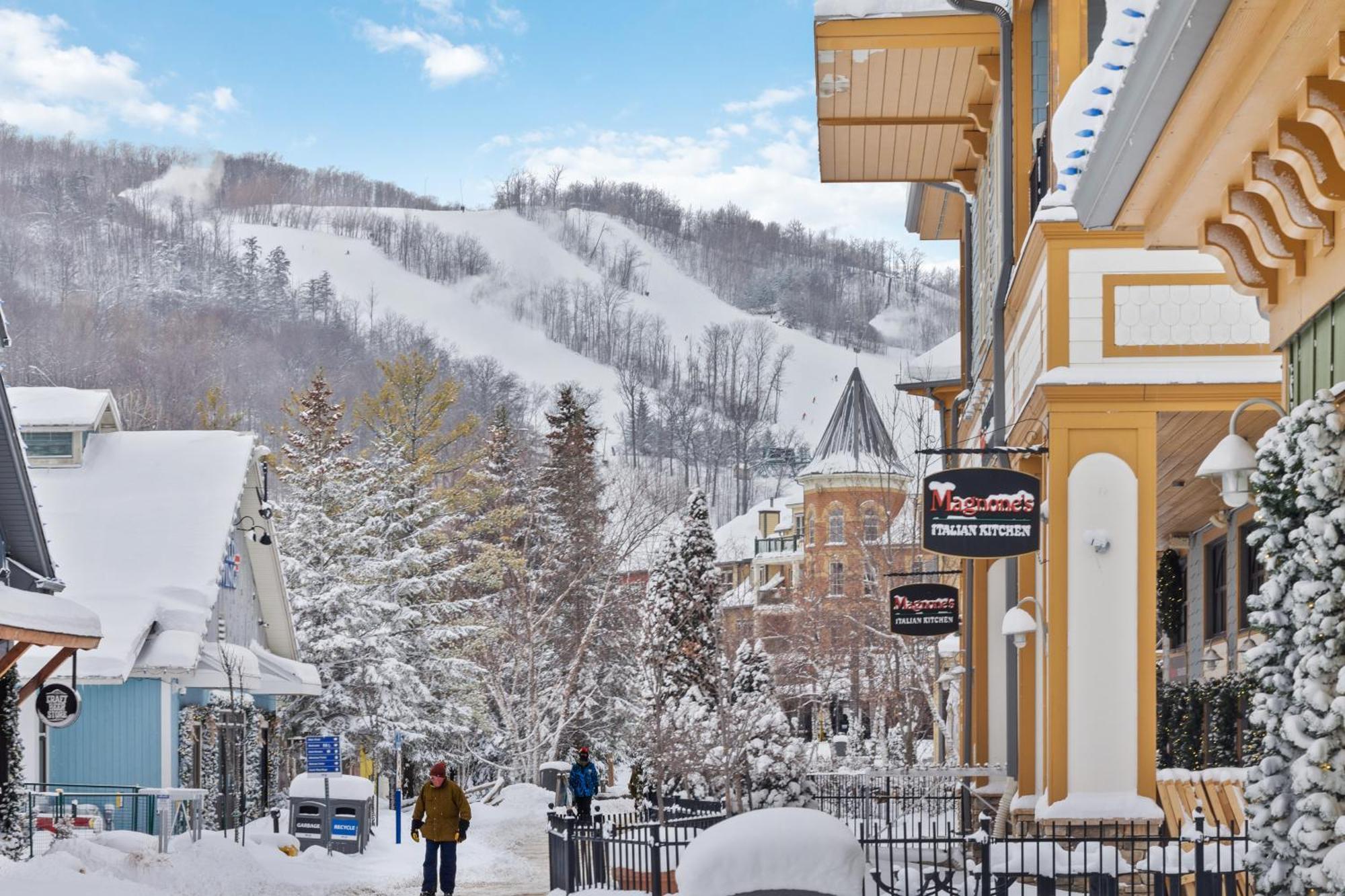 Blue Mtn Getaway In Historic Snowbridge Chalet Villa Collingwood Kültér fotó