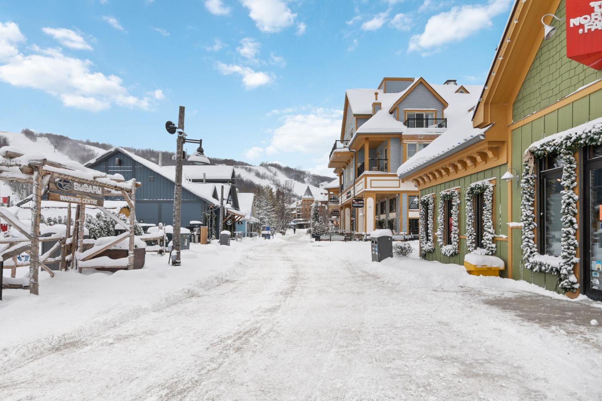 Blue Mtn Getaway In Historic Snowbridge Chalet Villa Collingwood Kültér fotó